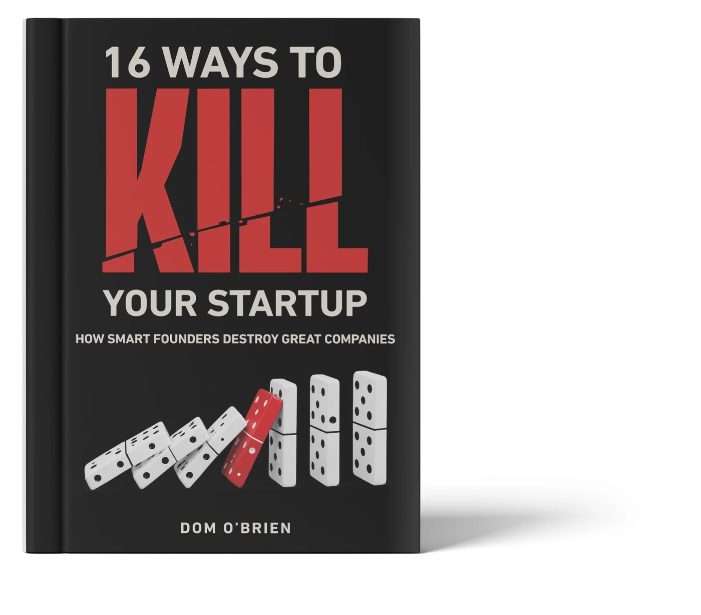 16 Ways to Kill Your Startup book